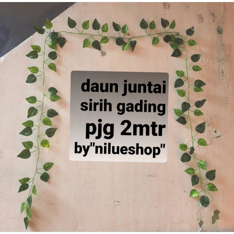 Detail Backdrop Daun Nomer 43