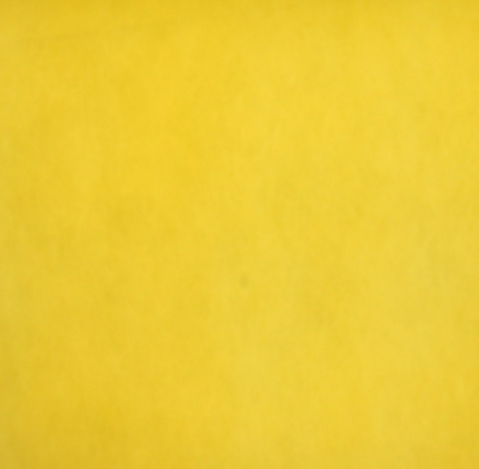 Detail Backdrop Kuning Nomer 43