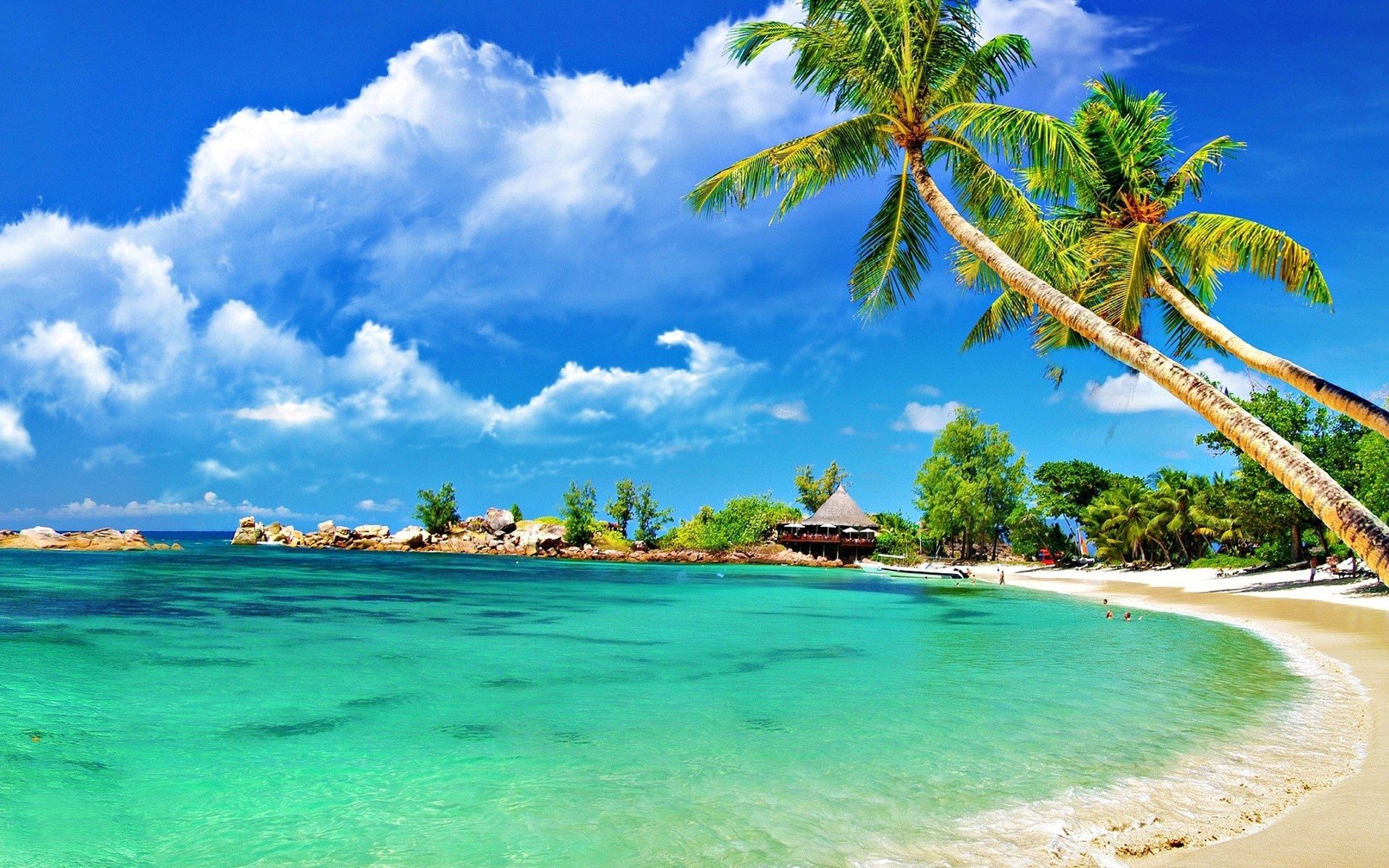 Detail Backdrop Pantai Nomer 31