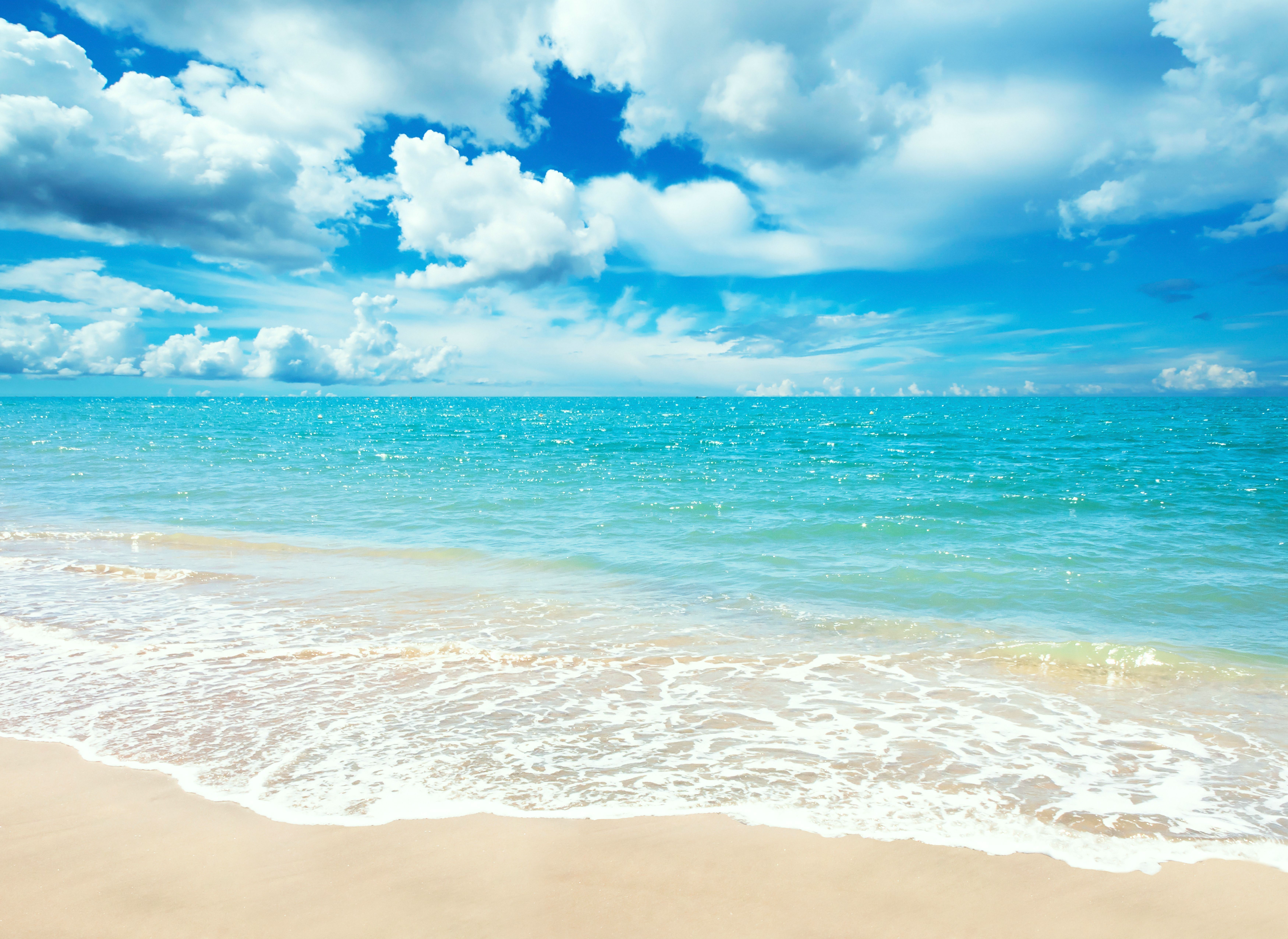 Detail Backdrop Pantai Nomer 32