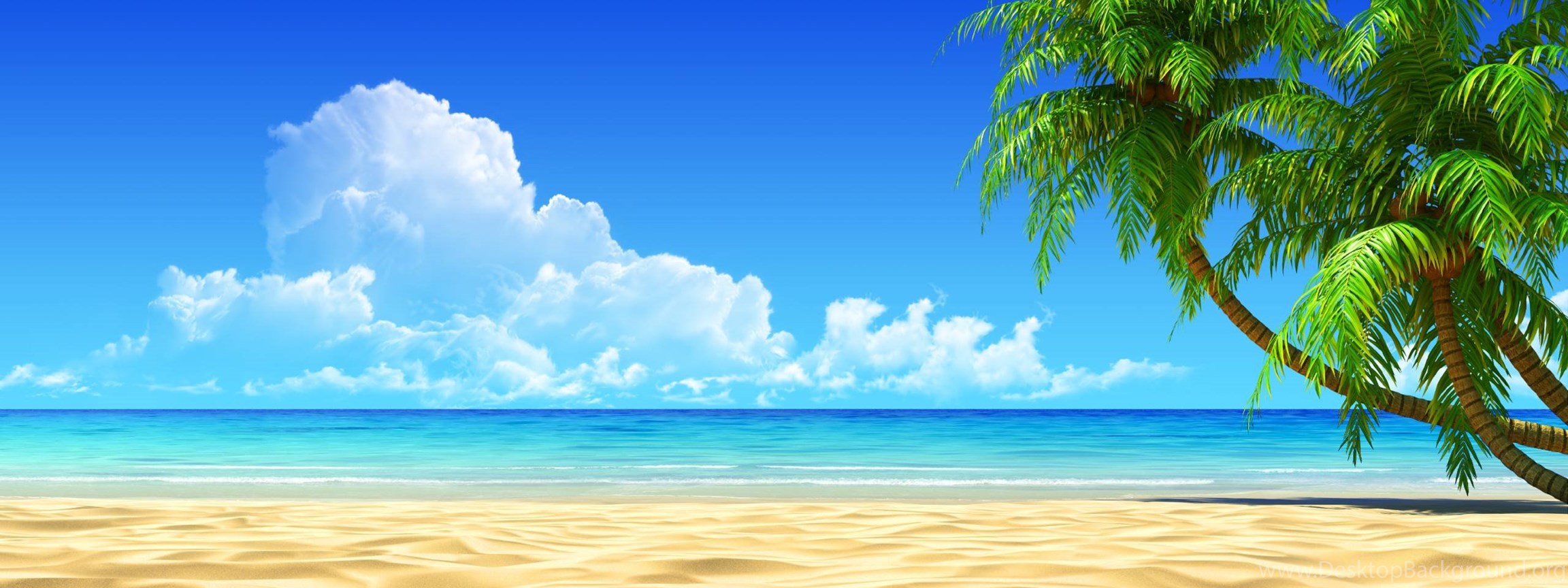 Detail Backdrop Pantai Nomer 35