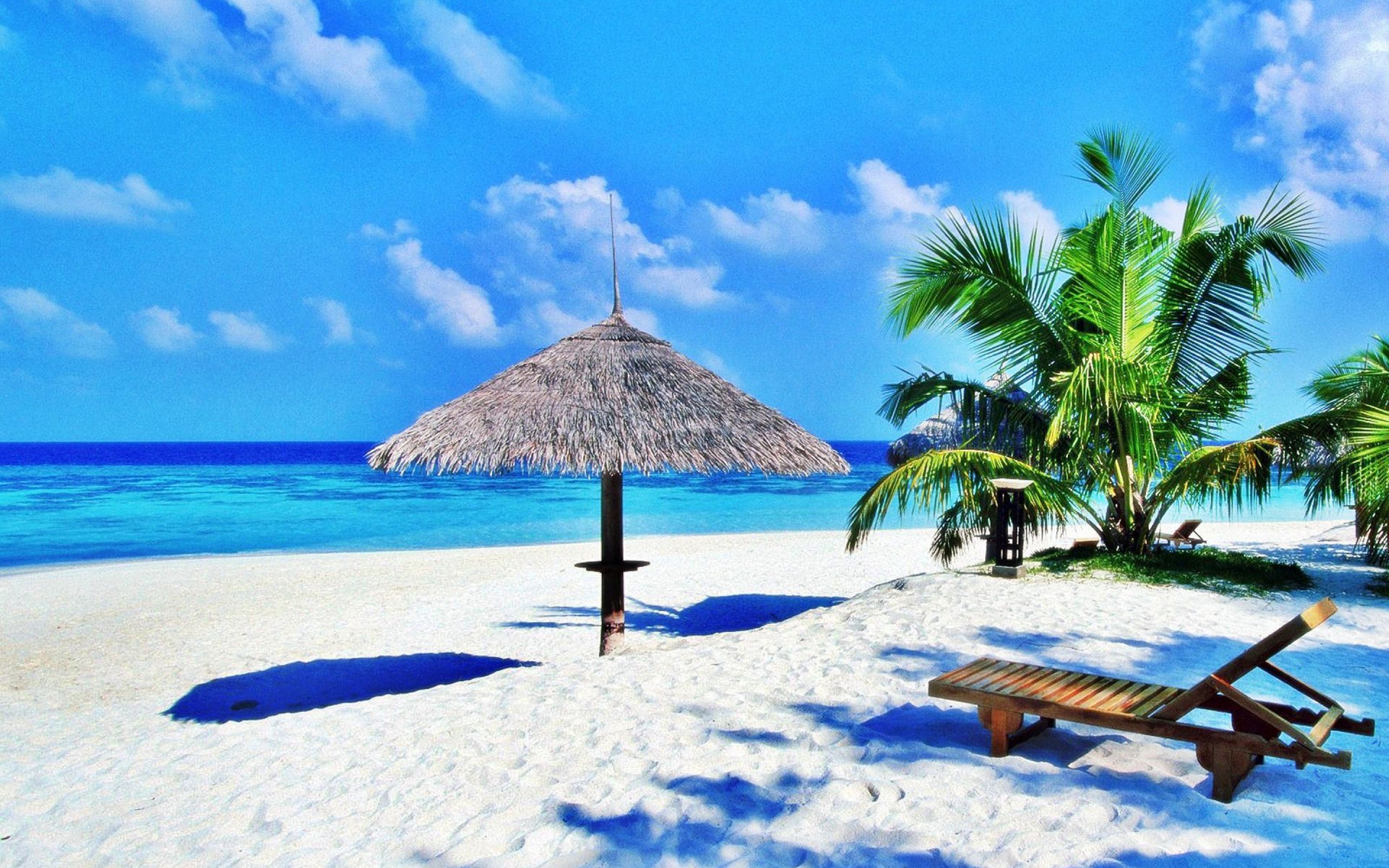 Detail Backdrop Pantai Nomer 41