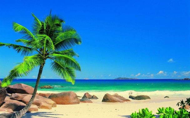 Detail Backdrop Pantai Nomer 42
