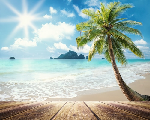 Detail Backdrop Pantai Nomer 49