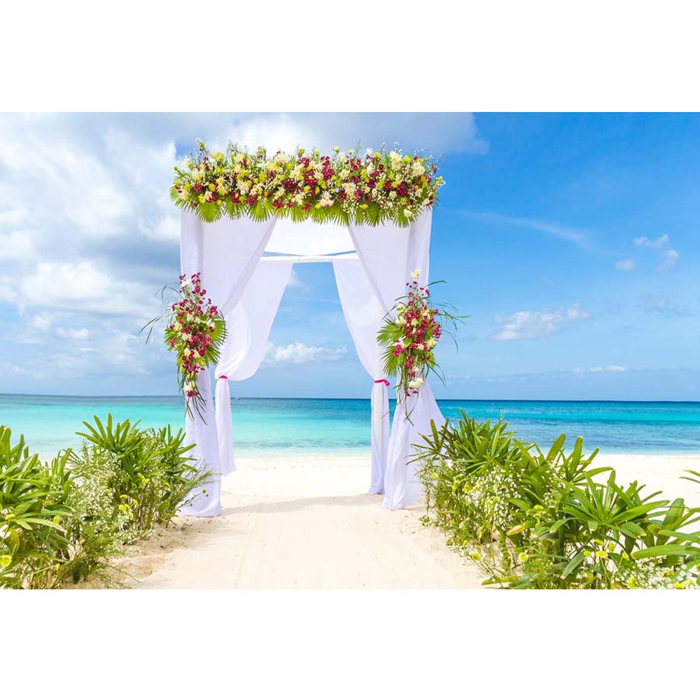 Detail Backdrop Pantai Nomer 50