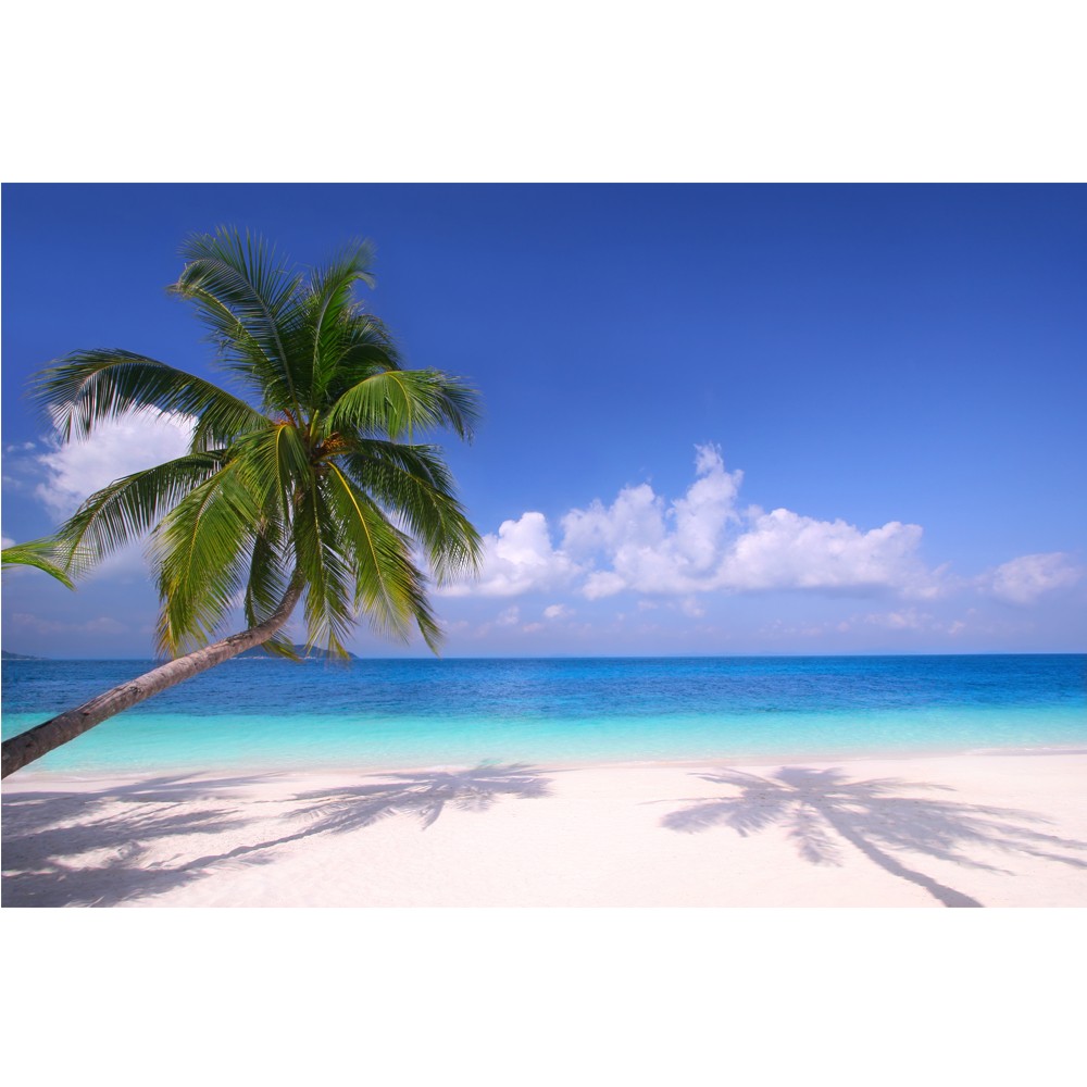 Detail Backdrop Pantai Nomer 54