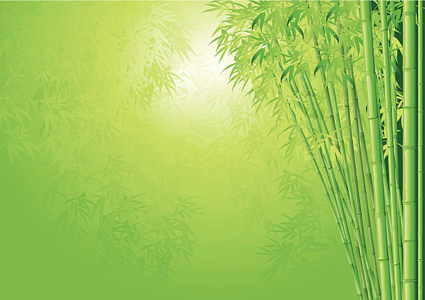 Detail Backgroun Bambu Nomer 19