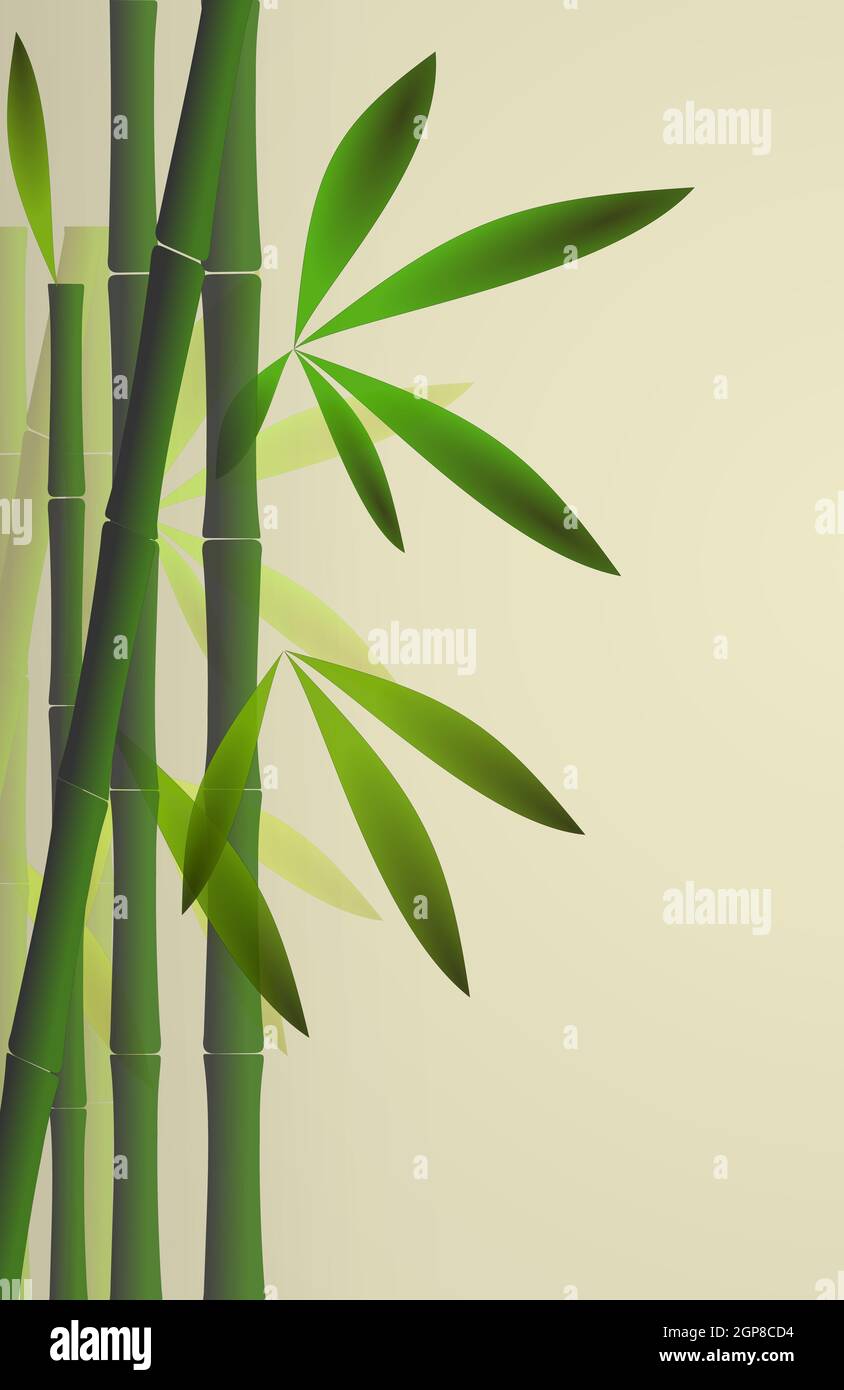 Detail Backgroun Bambu Nomer 22