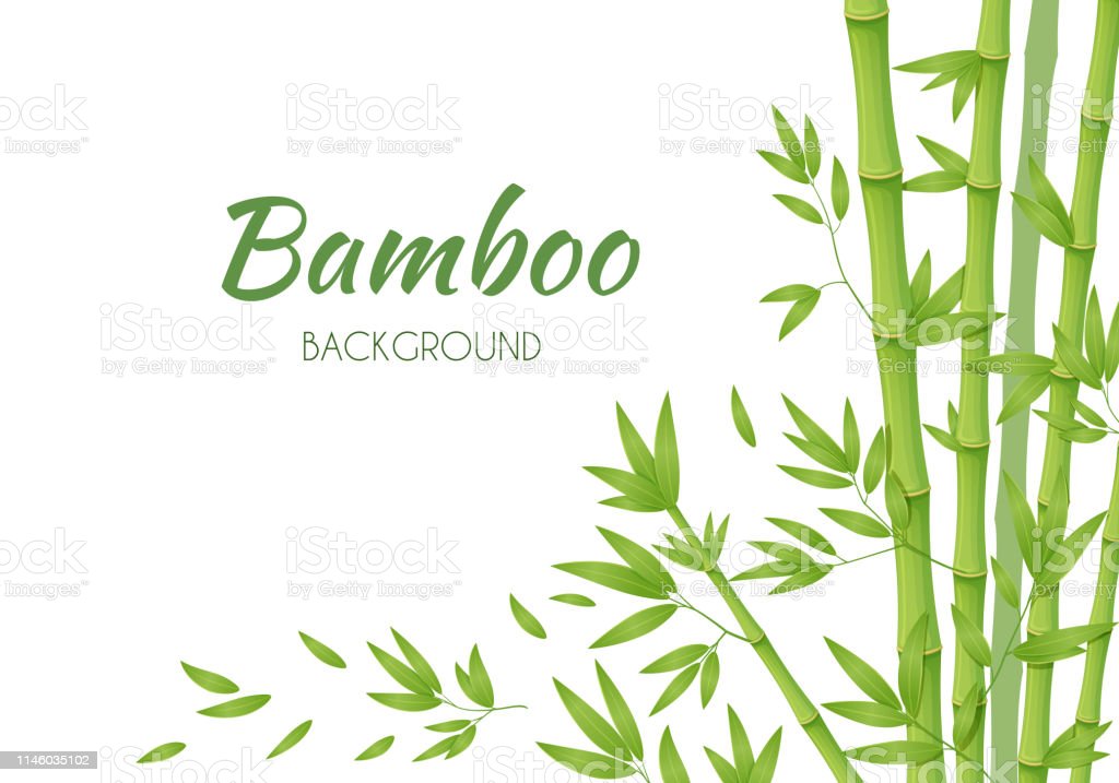 Detail Backgroun Bambu Nomer 53