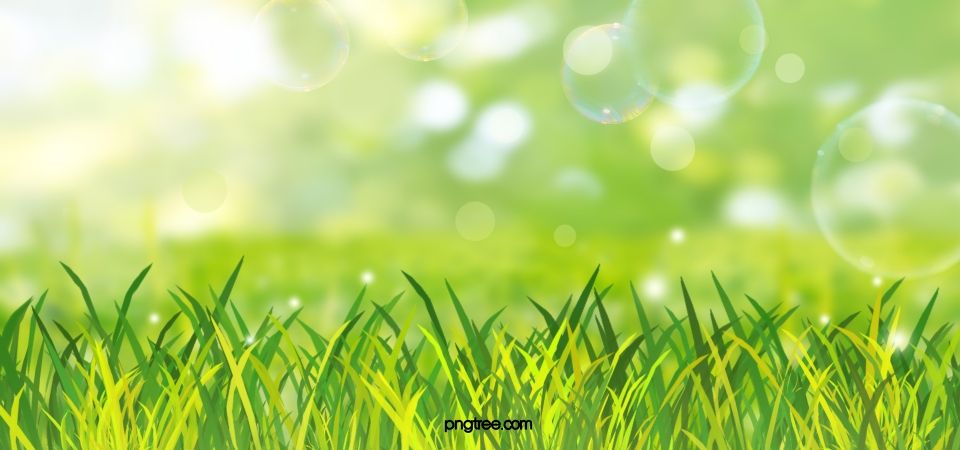 Detail Backgroun Rumput Nomer 2