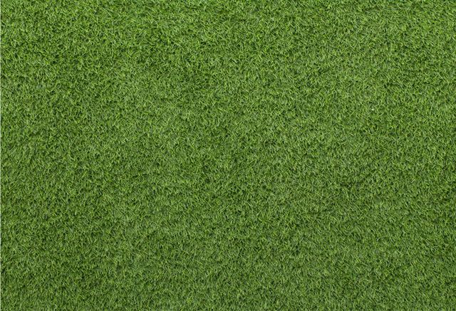 Detail Backgroun Rumput Nomer 13