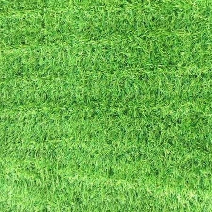 Detail Backgroun Rumput Nomer 17