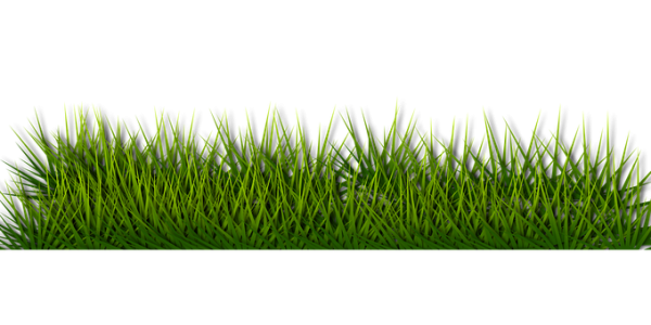 Detail Backgroun Rumput Nomer 3