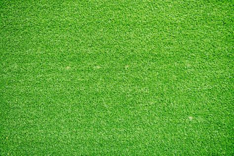 Detail Backgroun Rumput Nomer 22