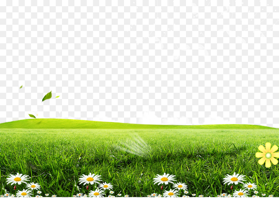 Detail Backgroun Rumput Nomer 23
