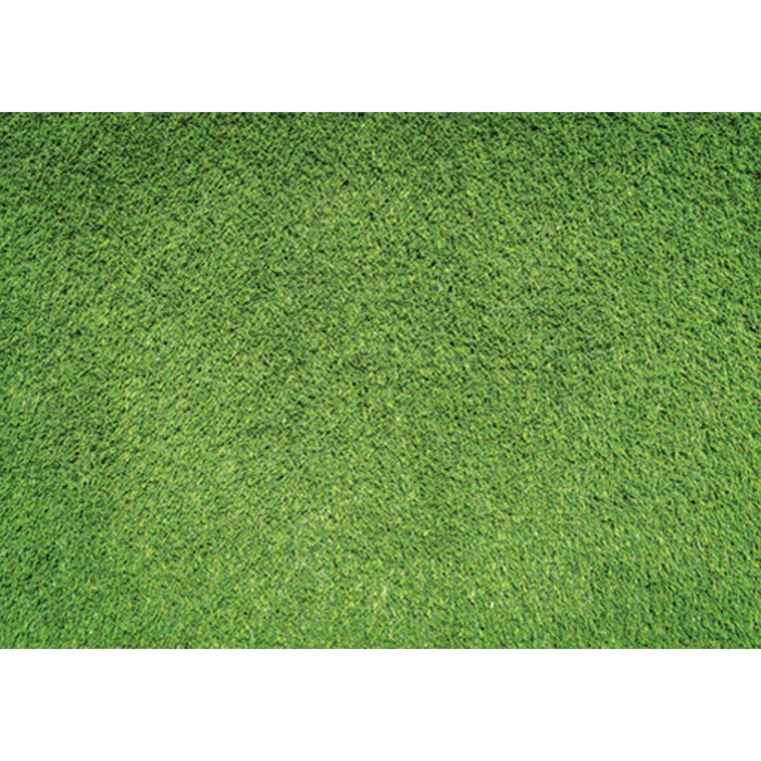 Detail Backgroun Rumput Nomer 35