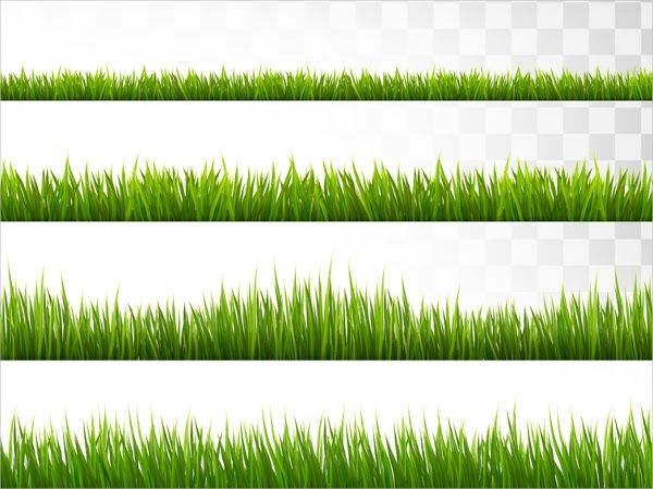 Detail Backgroun Rumput Nomer 38