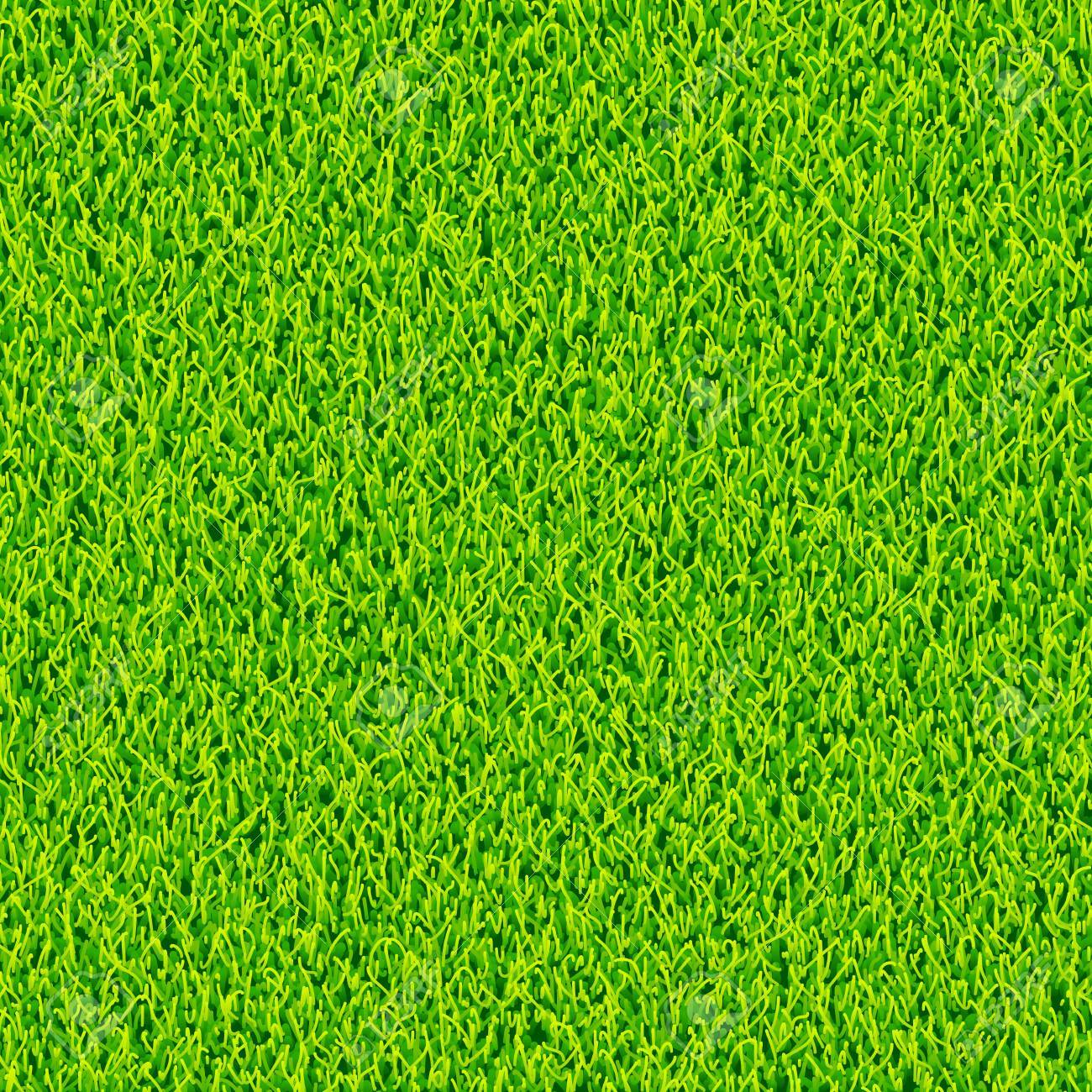 Detail Backgroun Rumput Nomer 6