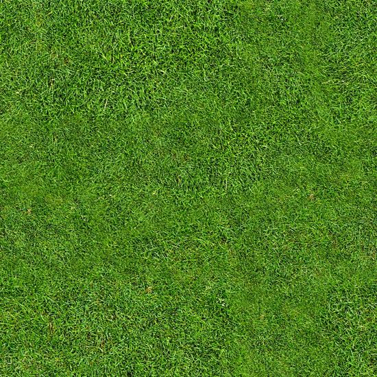 Detail Backgroun Rumput Nomer 10