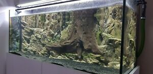 Detail Background 3d Aquarium Nomer 17