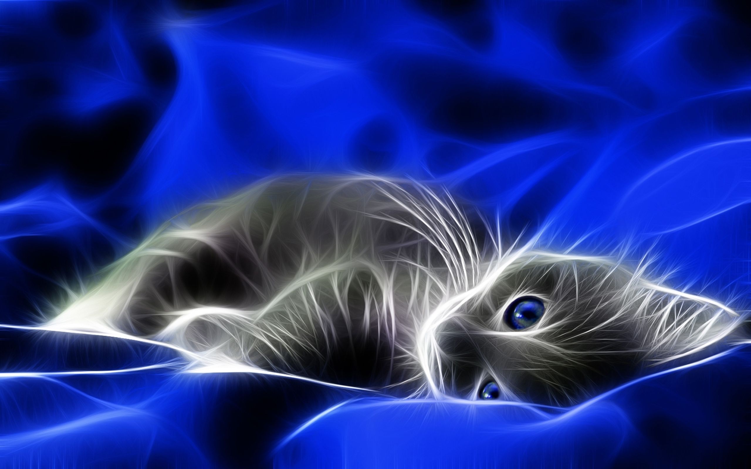 Background 3d Cat Wallpaper - KibrisPDR