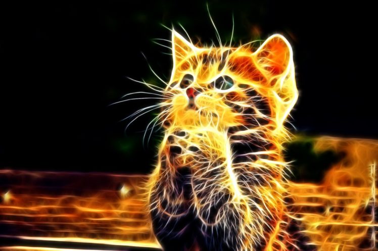 Detail Background 3d Cat Wallpaper Nomer 5