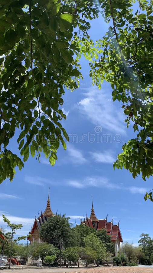 Detail Background 9 16 Nomer 29