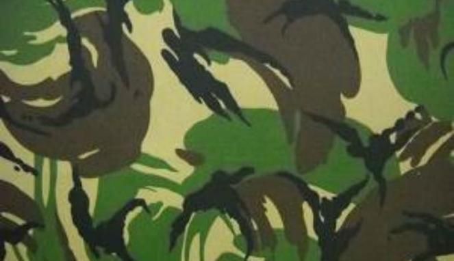Detail Background Abri Nomer 4