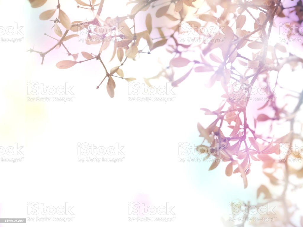 Detail Background Abstrak Bunga Nomer 29