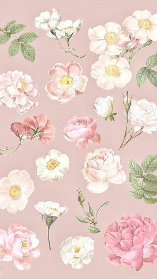Detail Background Abstrak Bunga Nomer 31