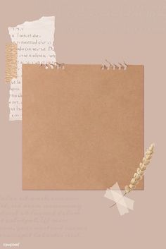 Detail Background Aesthetic Olshop Nomer 2