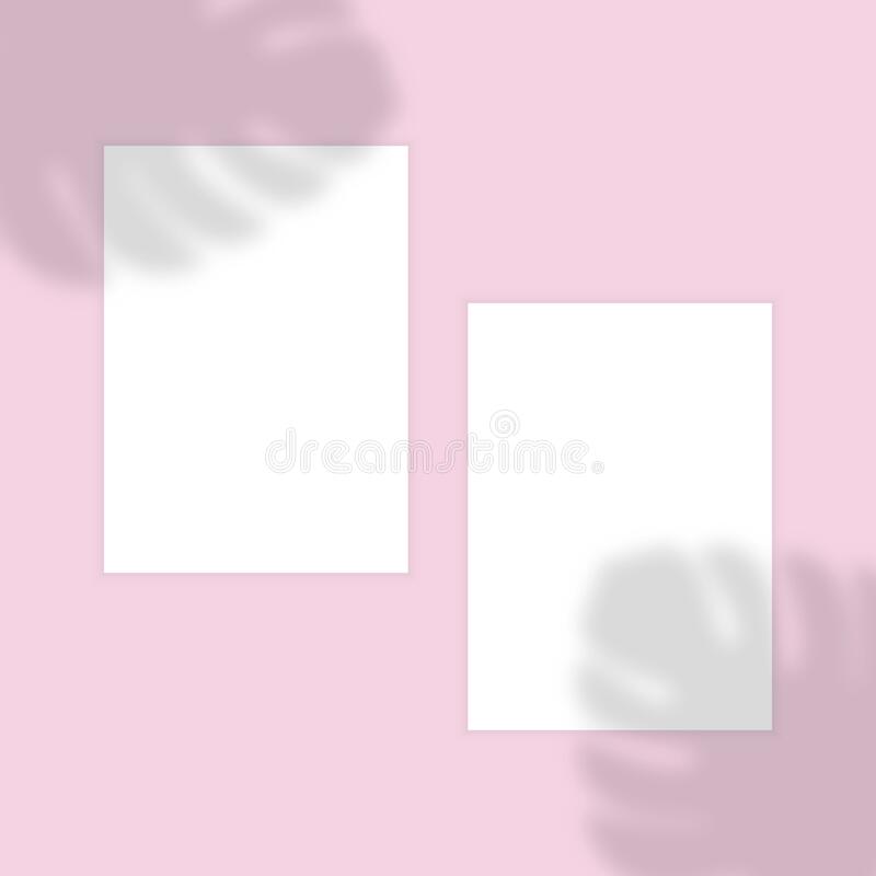 Detail Background Aesthetic Olshop Nomer 35