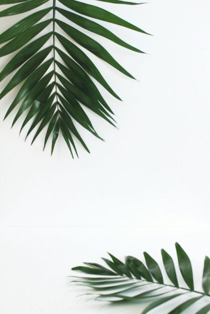 Detail Background Aesthetic Putih Nomer 28
