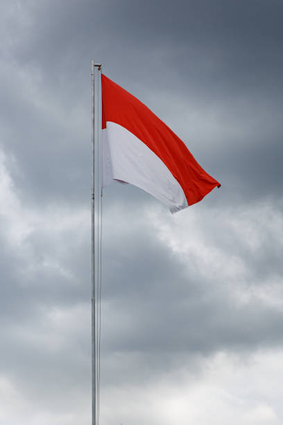 Detail Background Agustus Nomer 9