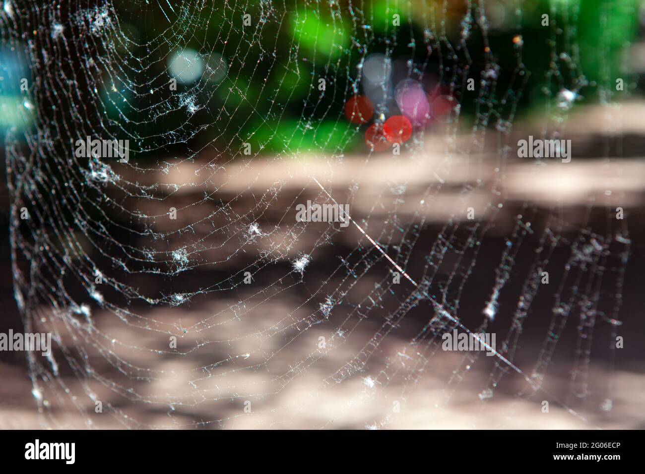 Detail Background Air Hujan Nomer 44