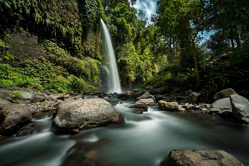 Detail Background Air Terjun Nomer 2