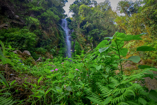 Detail Background Air Terjun Nomer 15