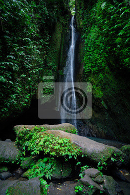 Detail Background Air Terjun Nomer 49