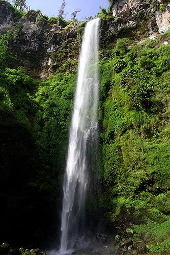 Detail Background Air Terjun Bergerak Nomer 49