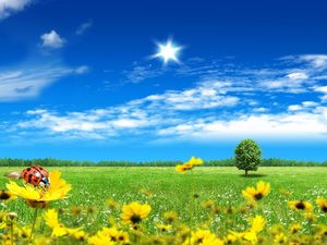 Detail Background Alam Powerpoint Nomer 51