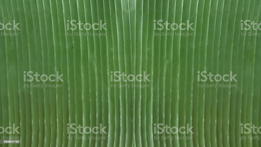 Detail Background Alami Nomer 51