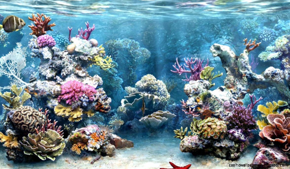 Detail Background Animasi Laut Nomer 45