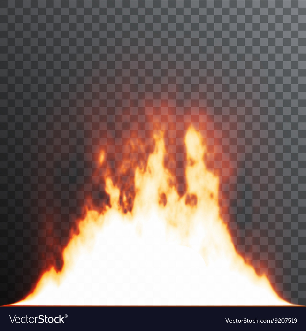 Background Api Vector - 56+ Koleksi Gambar