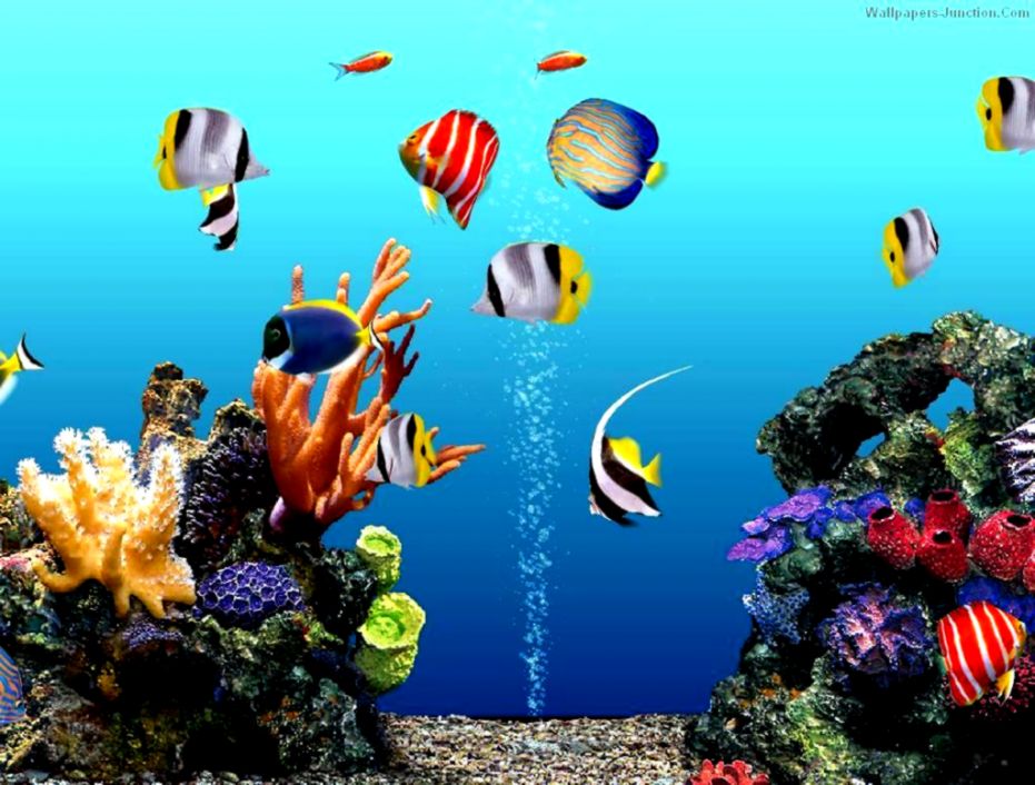 Detail Background Aquarium 3d Hd Nomer 11