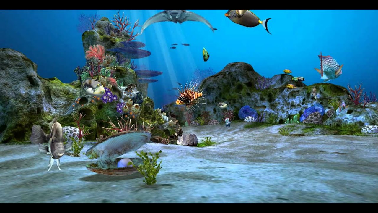 Detail Background Aquarium 3d Hd Nomer 22