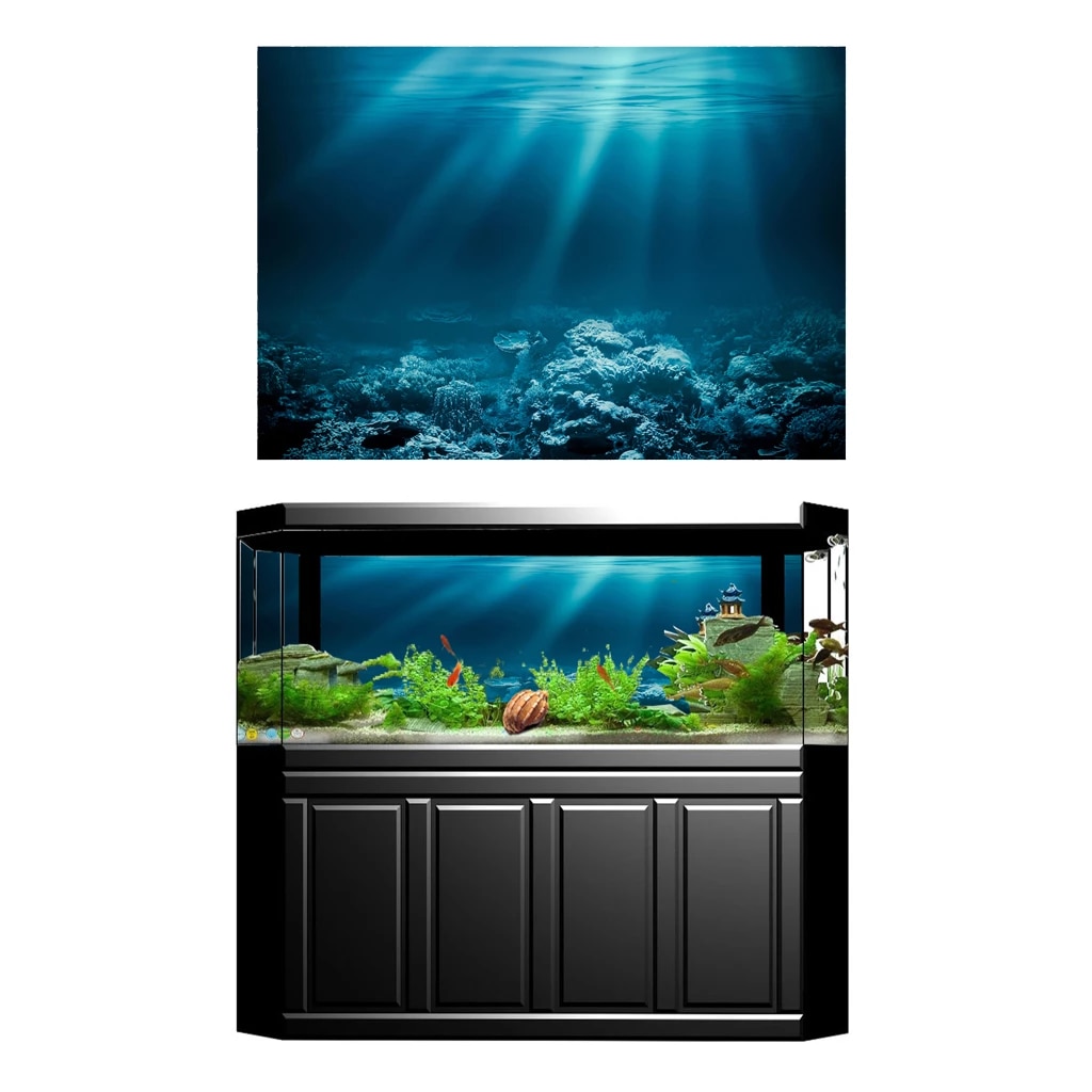 Detail Background Aquarium 3d Hd Nomer 25
