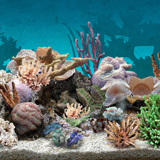 Detail Background Aquarium 3d Hd Nomer 35