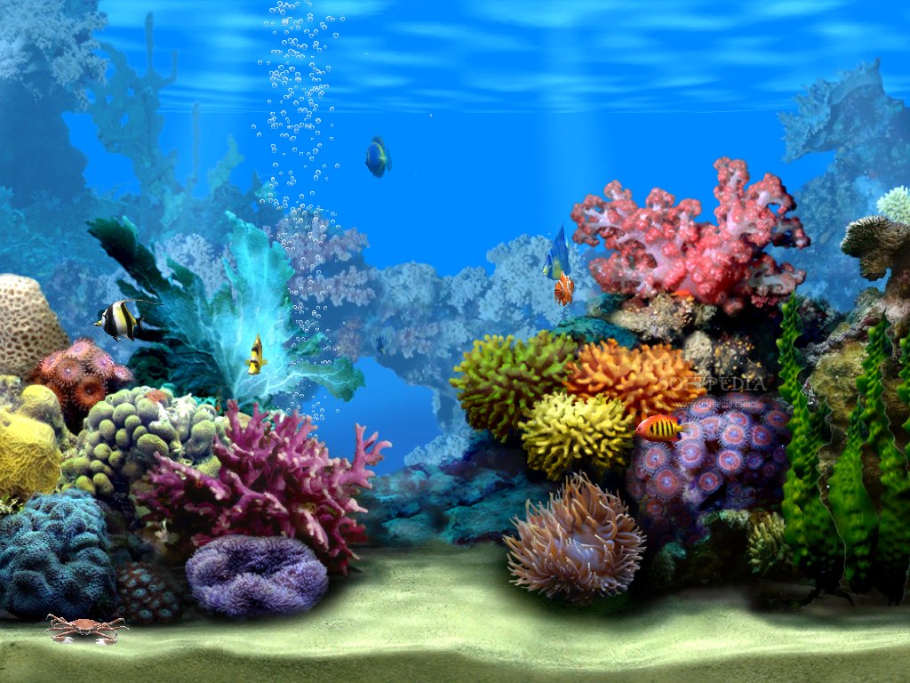 Detail Background Aquarium 3d Hd Nomer 51