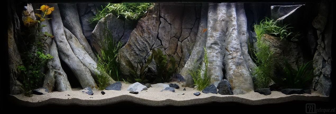 Detail Background Aquarium 3d Hd Nomer 8