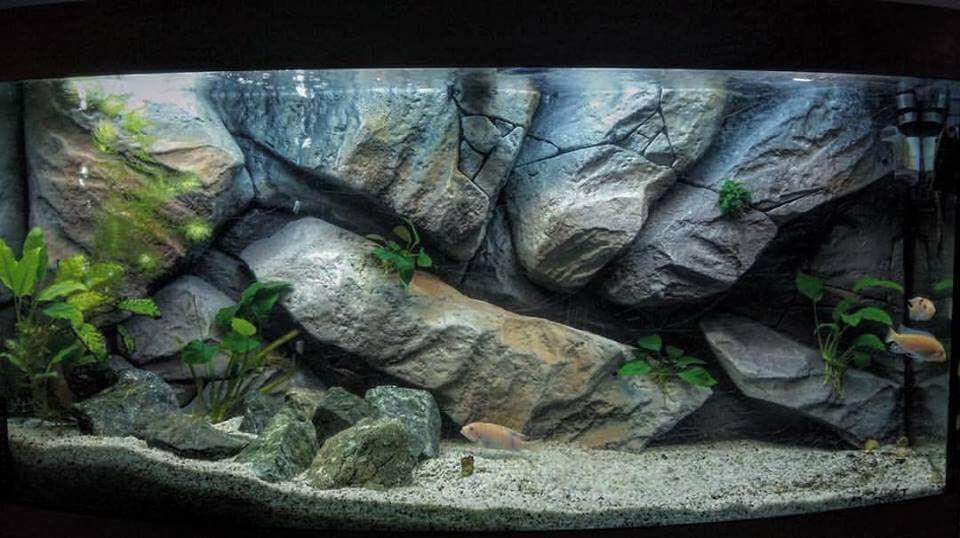 Download Background Aquarium Batu Alam Nomer 15